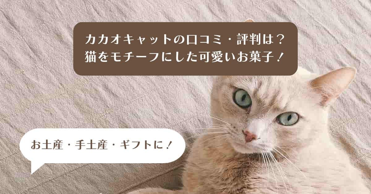 チョコレート・クッキー缶が人気のカカオキャット！まずい？口コミ・評判は？｜お土産