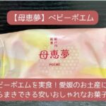 母恵夢はまずい？おいしい？愛媛のお土産に！ばらまきできる安いおしゃれなお菓子！