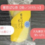 東京駅｜大丸東京おすすめスイーツ！お土産に人気の東京ばな奈！安いばらまきお菓子！