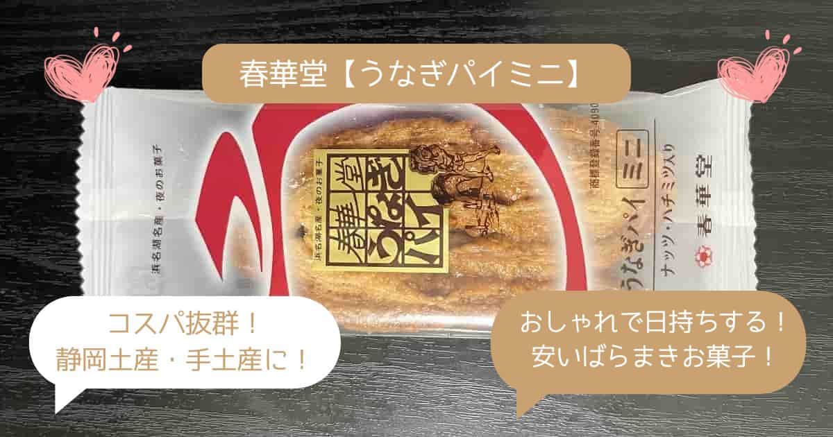 【静岡でしか買えないお土産】浜松の焼き菓子を手土産に！おしゃれでばらまきできる！