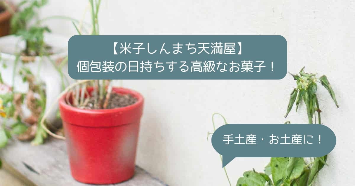 食彩館｜米子しんまち天満屋の高級スイーツ！個包装で日持ちするお菓子｜お土産・手土産