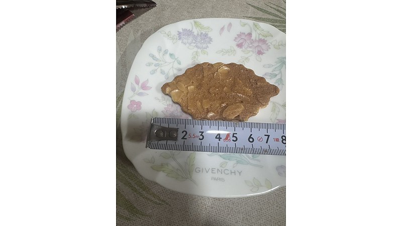 モロゾフ　ファヤージュ　長さ