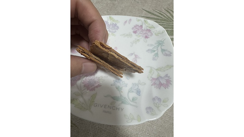 モロゾフ　ファヤージュ　断面